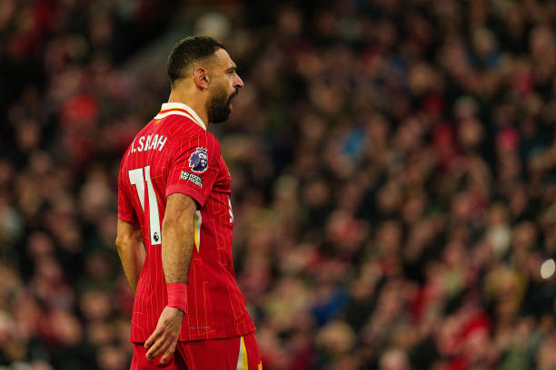 这种灵活的 这种灵活的